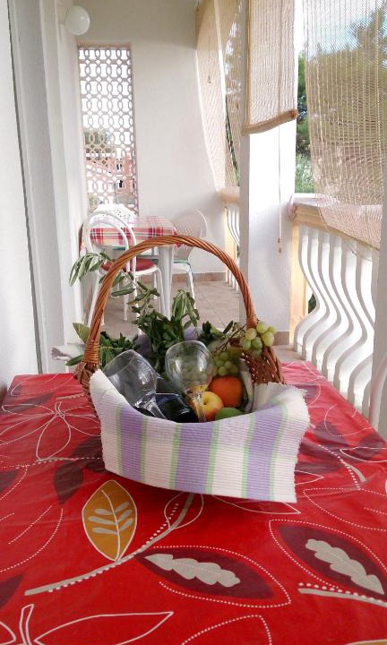 Privlaka Apartment | 3 bedrooms appartement at Privlaka 250 m away from the beach with sea view and enclosed garden
