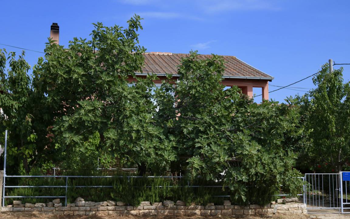 Gornji Karin Apartment | 50 m² Apartment ∙ 1 bedroom ∙ 4 guests