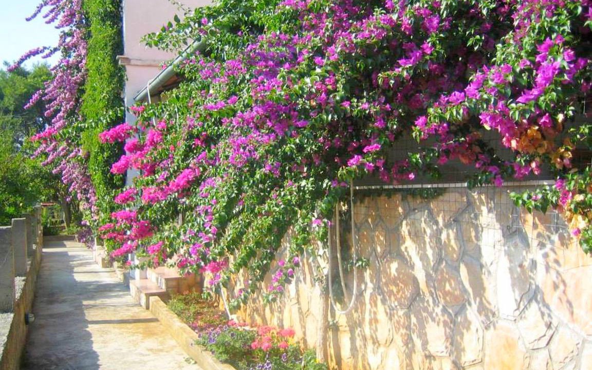 Island Hvar Apartment | 55 m² Apartment ∙ 2 bedrooms ∙ 5 guests