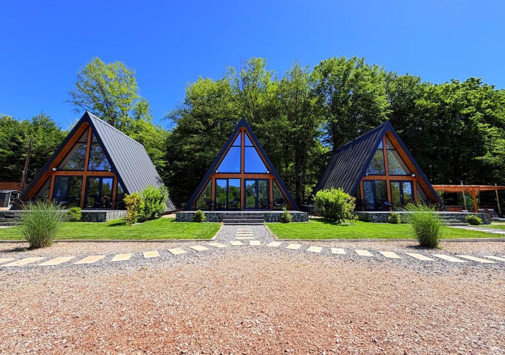 Vadu Crisului House | A-frame Marisa Vadu Crisului