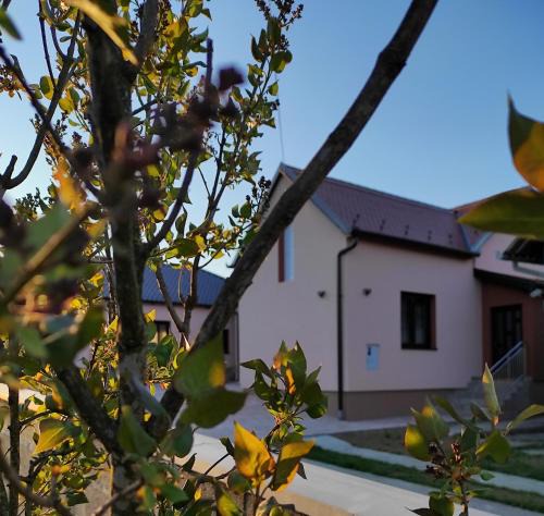 Caglin Apartment | Agroturizam OPG Jakopović