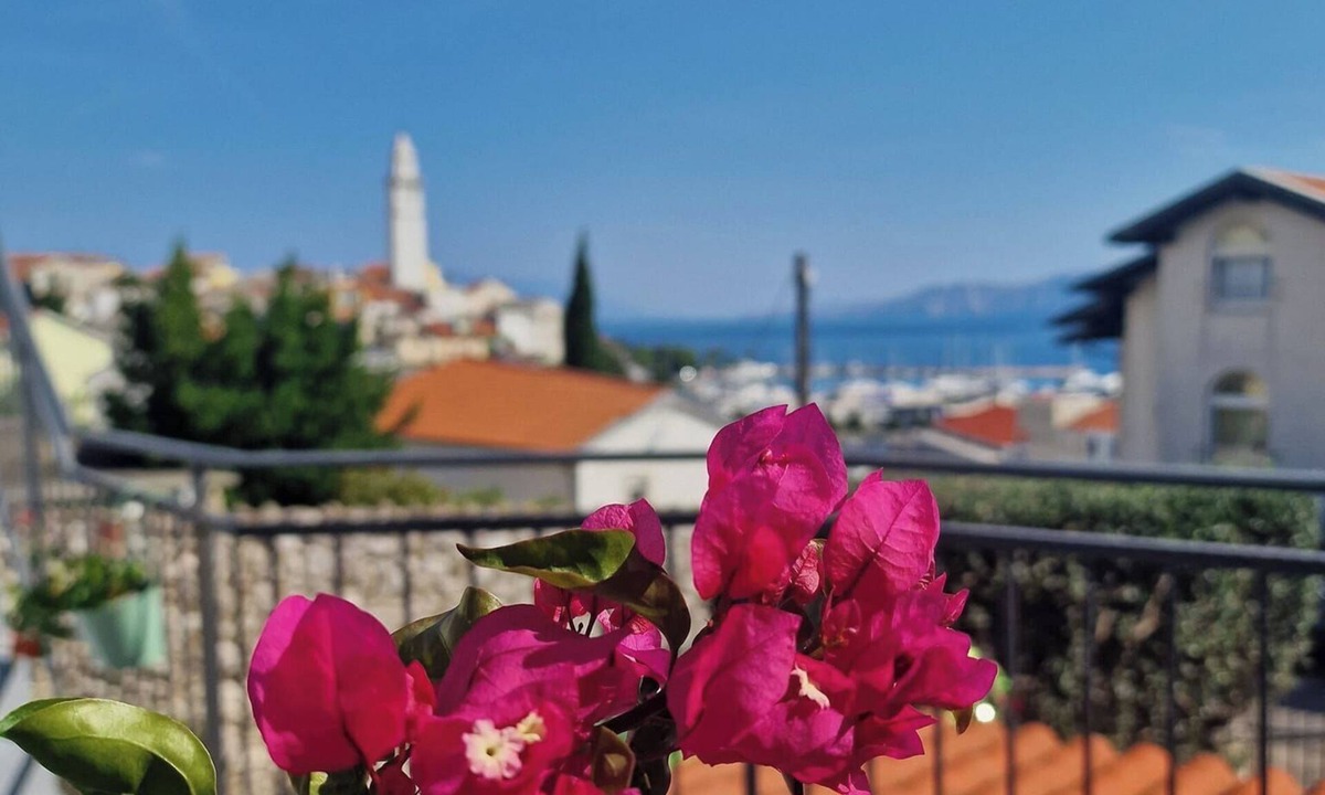 Novi Vinodolski Apartment | Apartment Goran (61671-A1) - Novi Vinodolski (Crikvenica)