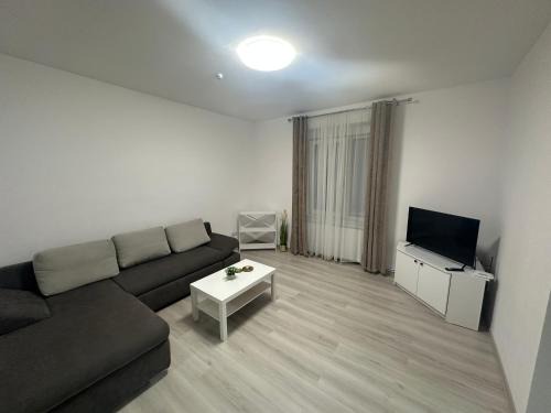 Lugoj Apartment | Aparthouse 1