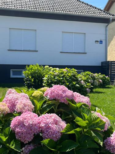 Mala Subotica Apartment | Apartman Kuća 150
