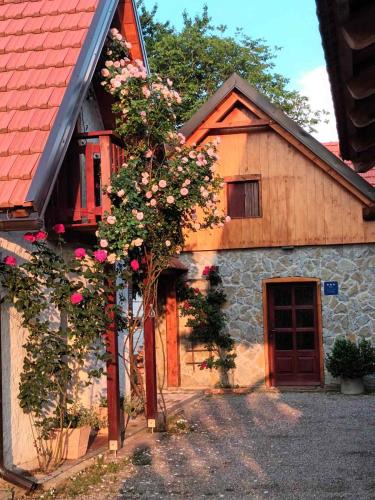 Plaski Apartment | Apartman Latin 2