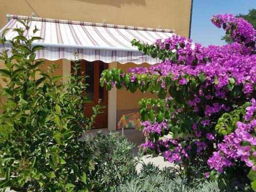 Nerezine Apartment | Apartman Mi