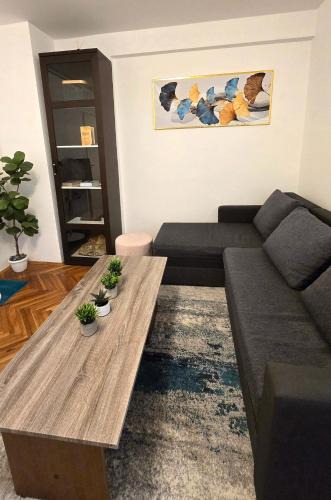 Daruvar Apartment | Apartman Mik - Daruvar