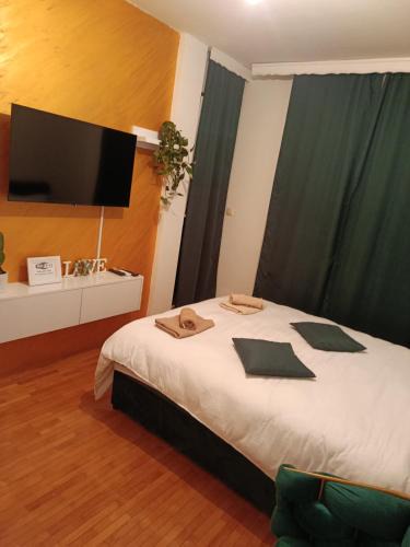 Bijeljina Apartment | Apartman Rada 3