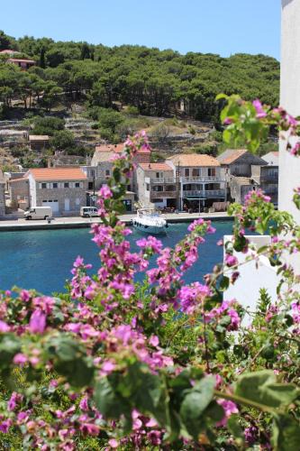 Zirje Apartment | Apartman Riva