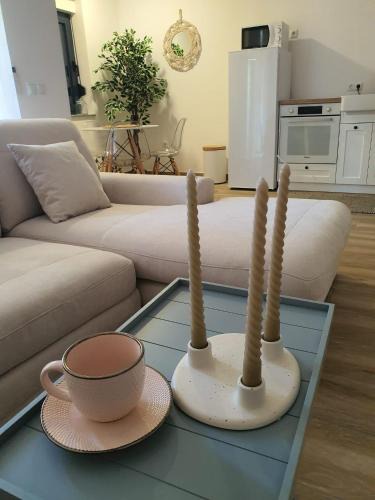 Nova Gradiska Apartment | Apartman SIMON-CENTAR