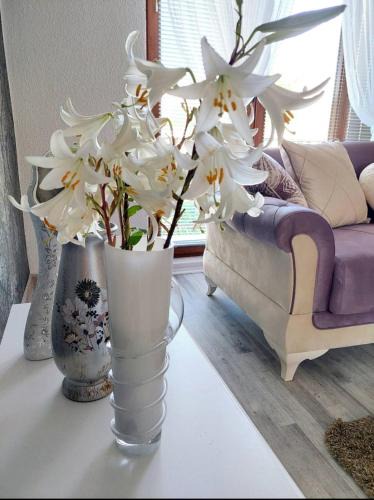 Bihac Apartment | Apartman STARI GRAD