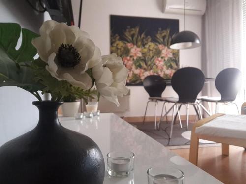 Borovo Apartment | Apartman VEGA
