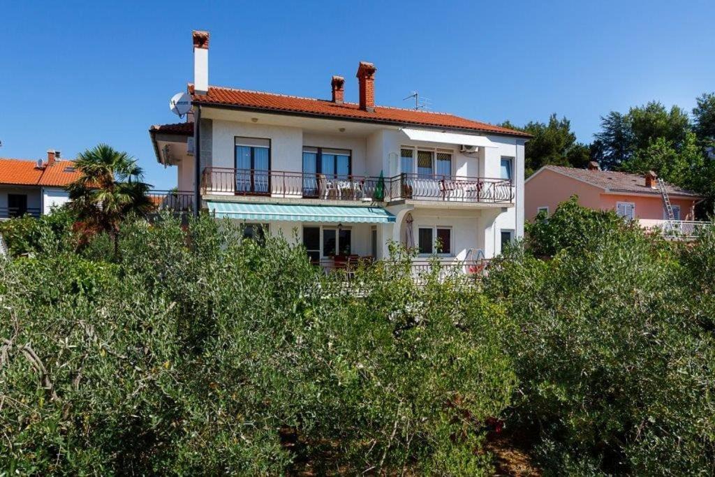 Kornic Apartment | Apartmani BRAUT-Studio-ANDREA 1 with sea view-STUDIO 3 view of the garden