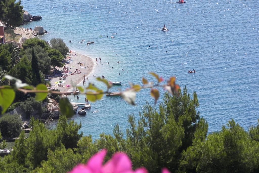 Celina Apartment | Apartmani Kevilj