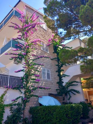 Baska Voda Apartment | Apartmani Omrčen