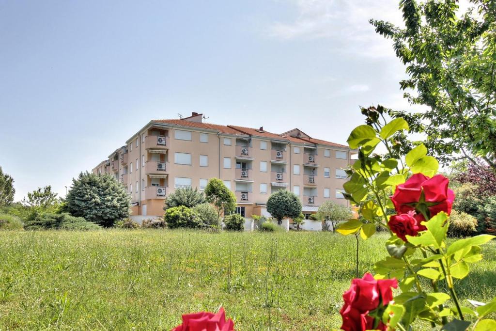 Monterol House | Apartment Branka - Monterol