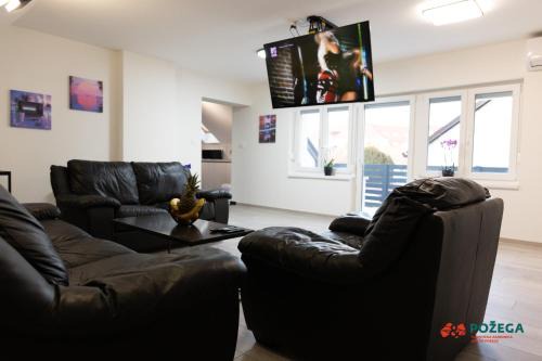 Pozega Apartment | Apartment Eden