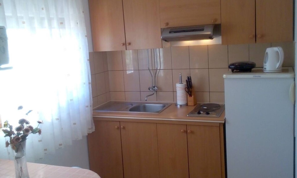 Privlaka Apartment | Apartment in Privlaka with Seaview, Terrace, Air condition, WIFI (3591-2)