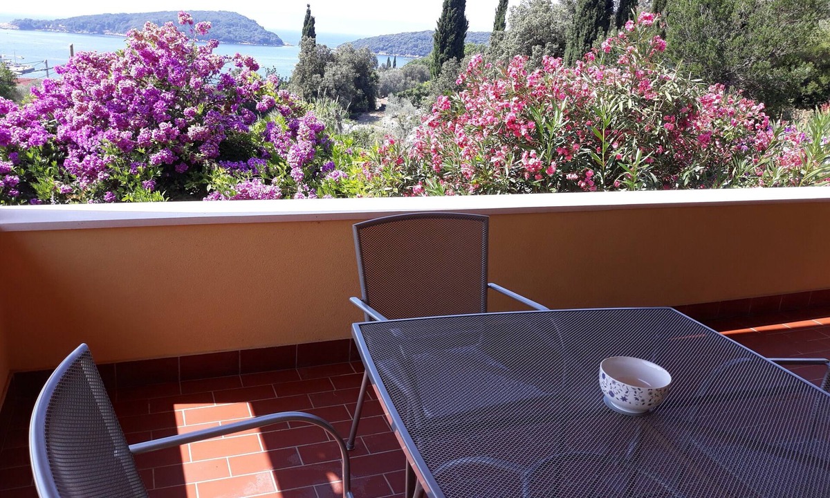 Molunat Apartment | Apartment Luna - One-Bedroom Apartment with Terrace and Sea View