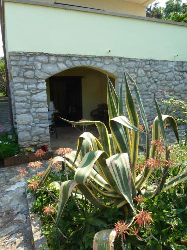 Veli Losinj Apartment | Apartment Nada