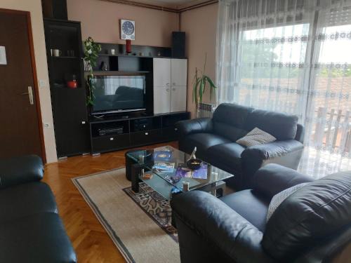 Osijek Apartment | Apartment Viktorija