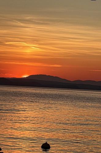 Senj Apartment | Apartment Zeljkica - Villa Sunce