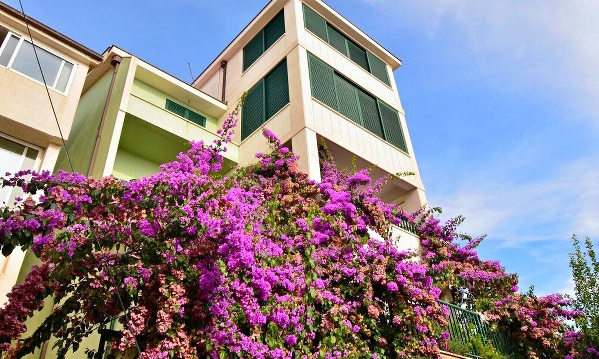Bili brig Apartment | Apartments Anđelka, (13813), Makarska, hr
