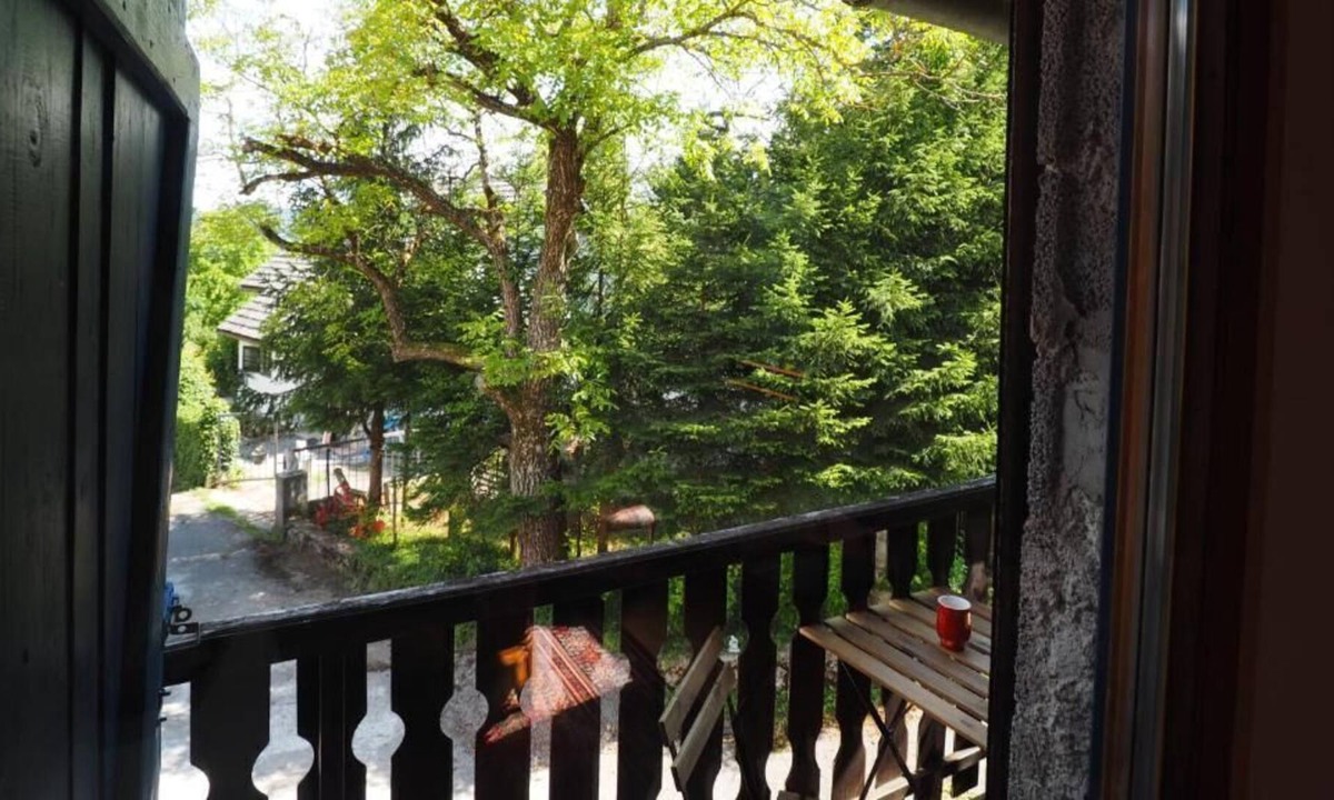 Plaski Apartment | Apartments and Rooms Sara Latin (67551-A1) - Latin