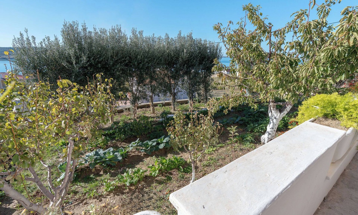 Rtina Apartment | Apartments Andrija (10439-A1) - Rtina