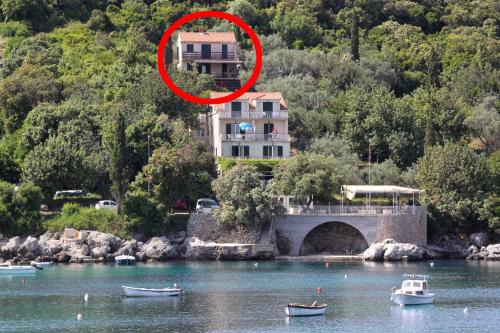 Molunat Apartment | Apartments by the sea Molunat - Dubrovnik - 8550