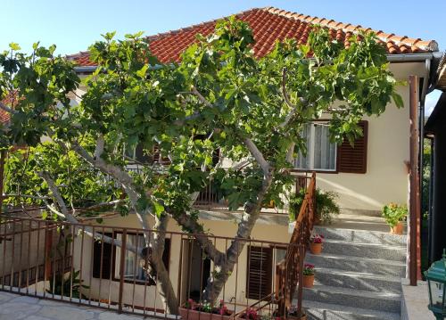 Posedarje Apartment | Apartments by the sea Posedarje, Novigrad - 12402