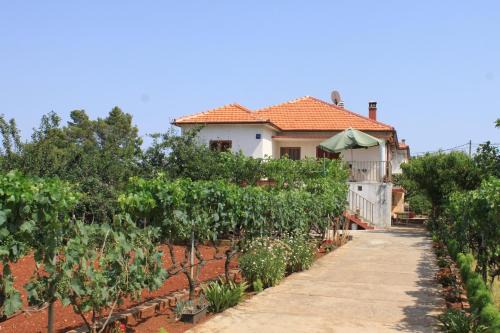 Ugljan Apartment | Apartments by the sea Ugljan - 8257