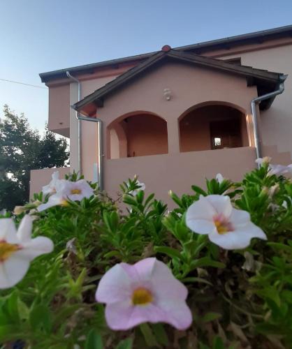 Gornji Karin Apartment | Apartments Cherry