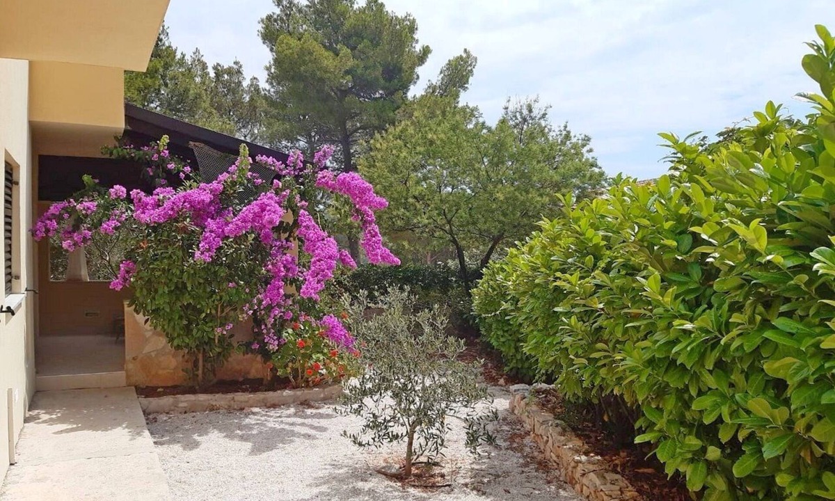 Cove Osibova (Milna) Apartment | Apartments Deni, (12256), Osibova, hr