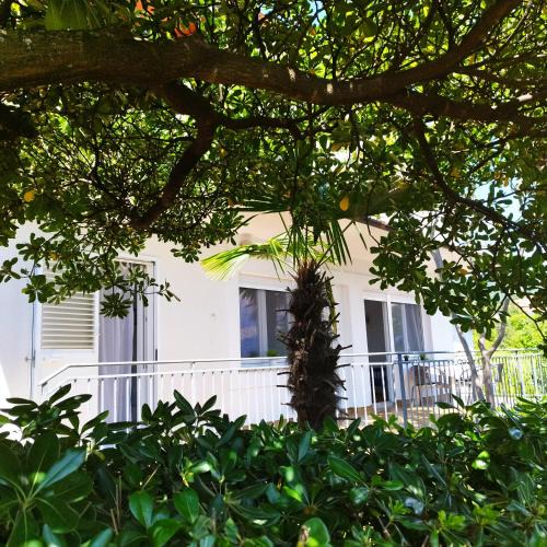 Ika Apartment | Apartments Garden Opatija