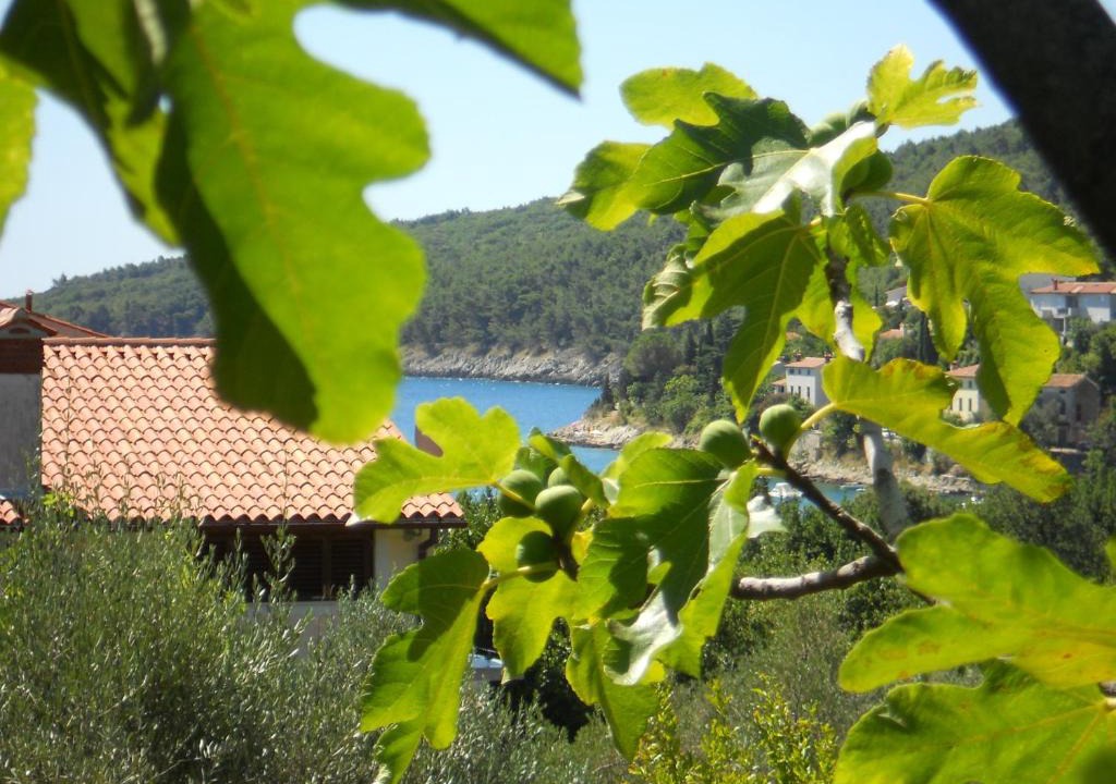 Sveta Marina Apartment | Apartments Ida Sveta Marina