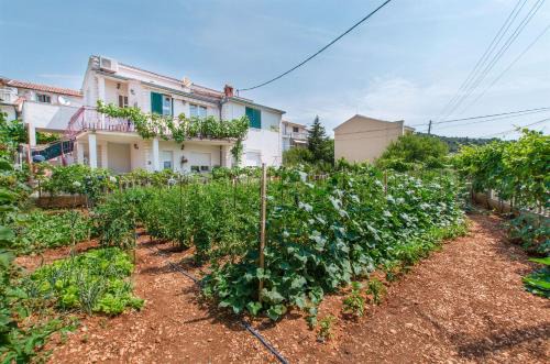 Poljica Apartment | Apartments Mala Dalmacija