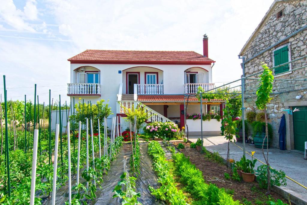 Dobropoljana Apartment | Apartments Miljenko