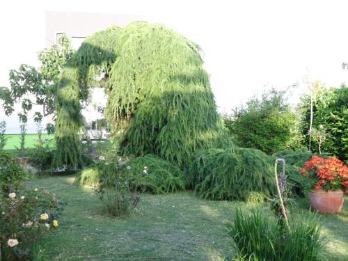 Seget Apartment | Apartments Ribić
