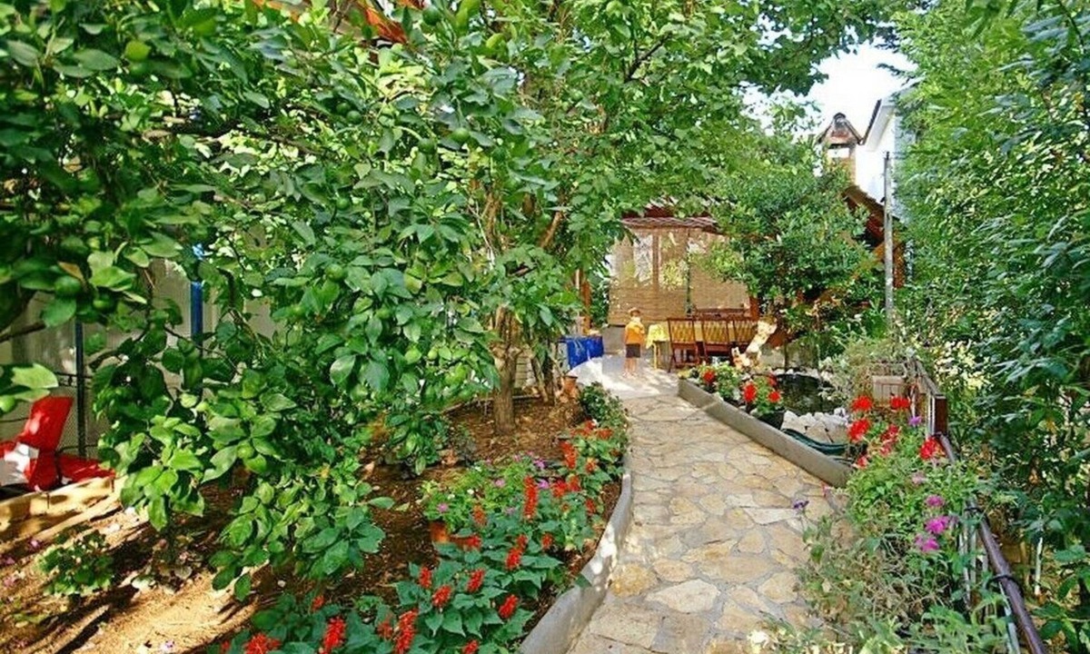 Petrcane Apartment | Apartments Vesela, (3003), Petrcane, hr