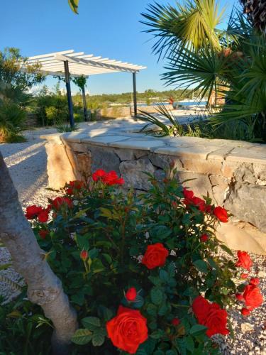Betina House | Beach House Marina Grande