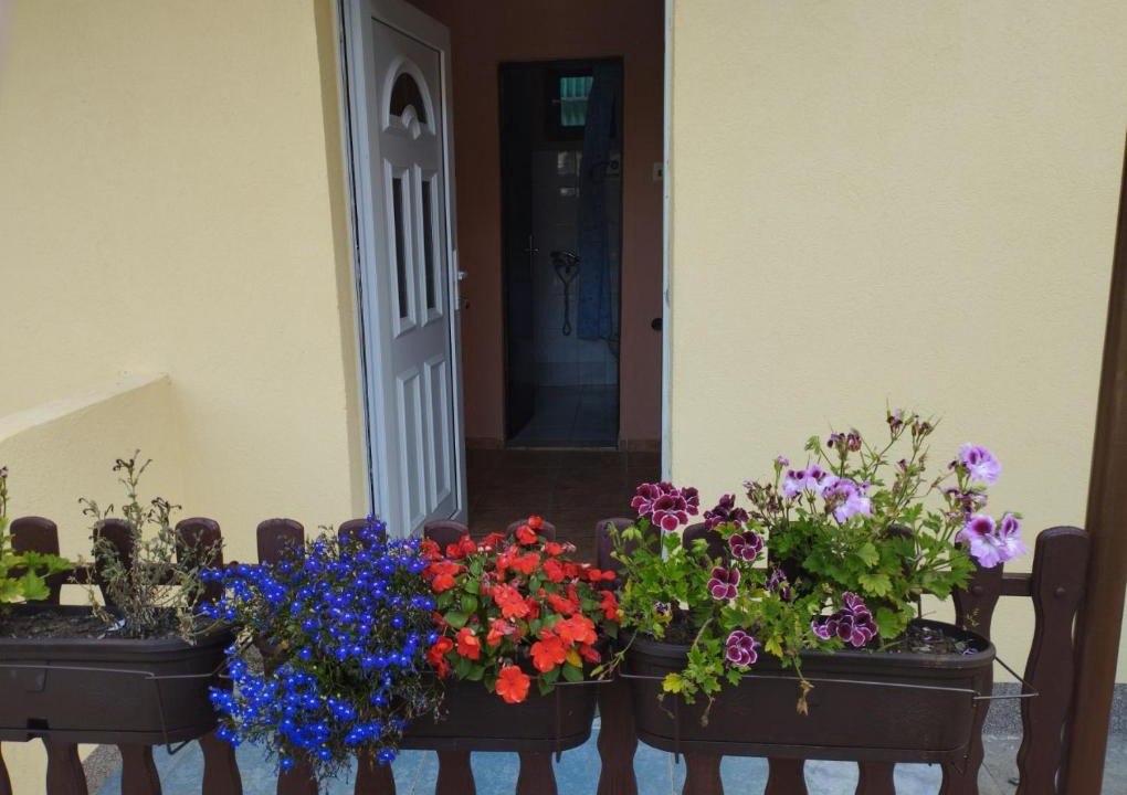 Veternik Apartment | Biljana's guest house