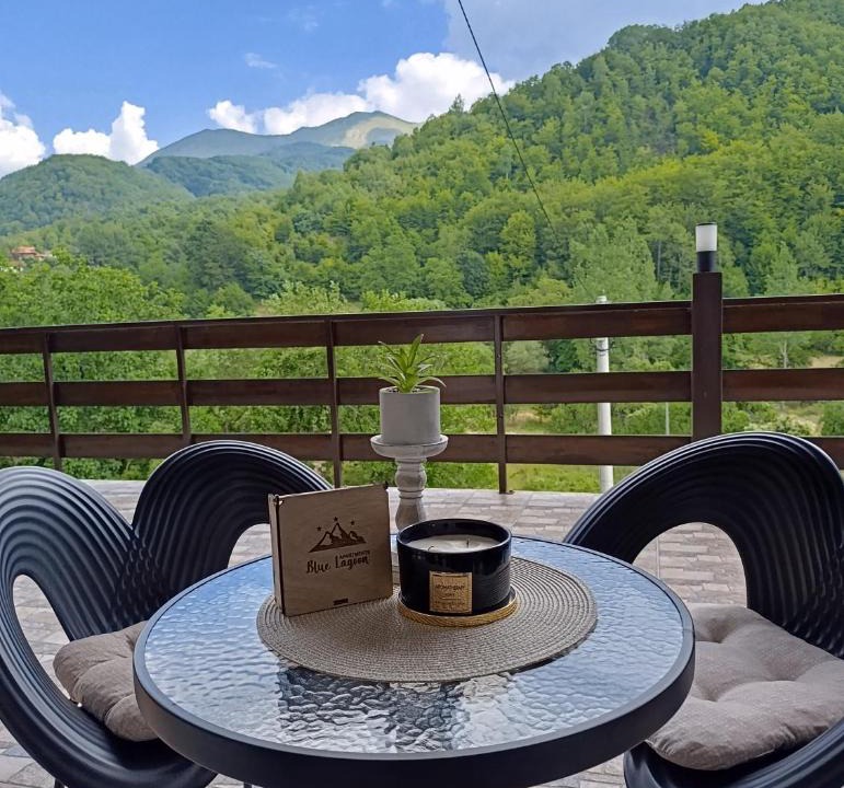 Stara Planina Apartment | Blue Lagoon Apartments