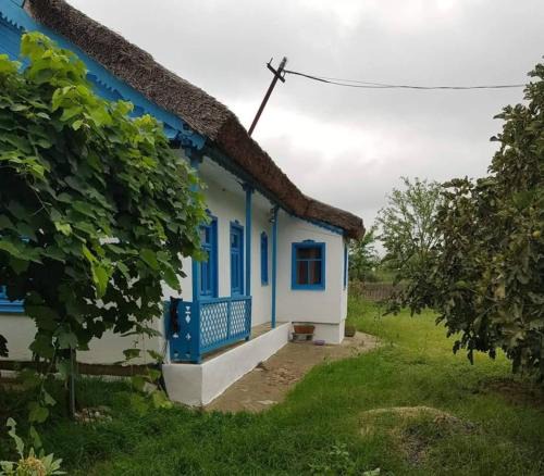 Murighiol House | Căsuța de chirpici