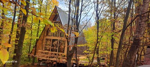 Curtea De Arges House | Cabana A-FRAME 3