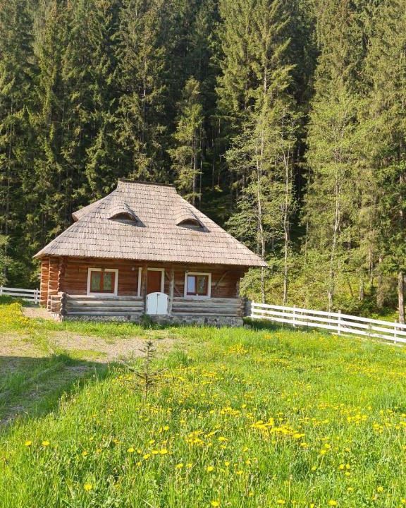 Izvoarele Sucevei Ski Chalet | Cabana Păstrăvului