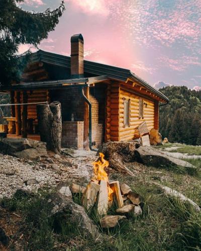 Budesti Cabin | Cabana Paulownia
