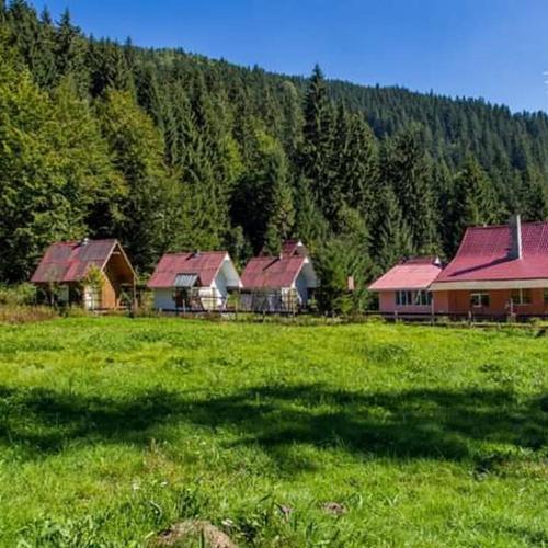 Margau House | Cabana Valea Stanciului