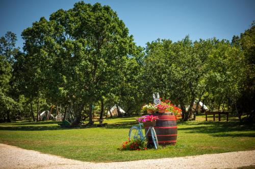 Grzini Other | Camping Freedom Istria Pitches
