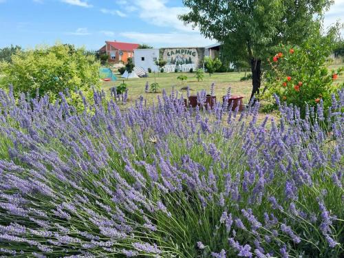 Murvica Other | CAMPING LASTE